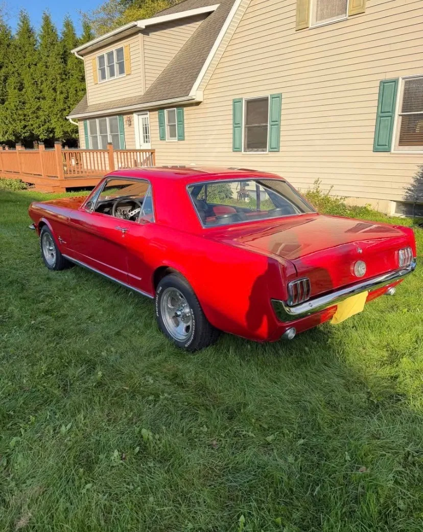 Ford Mustang 1966 photo 3