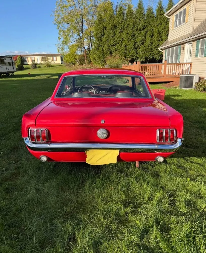 Ford Mustang 1966 photo 2