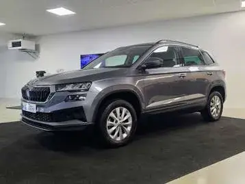 Skoda Karoq 2023 photo 2