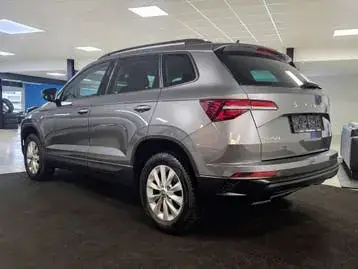 Skoda Karoq 2023 photo 3