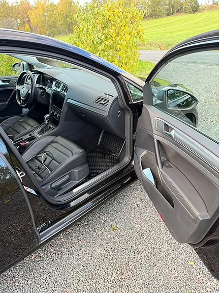 Volkswagen Golf Vii 2019 photo 5