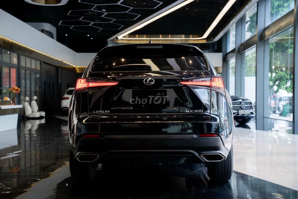 Lexus Nx 2021 photo 3