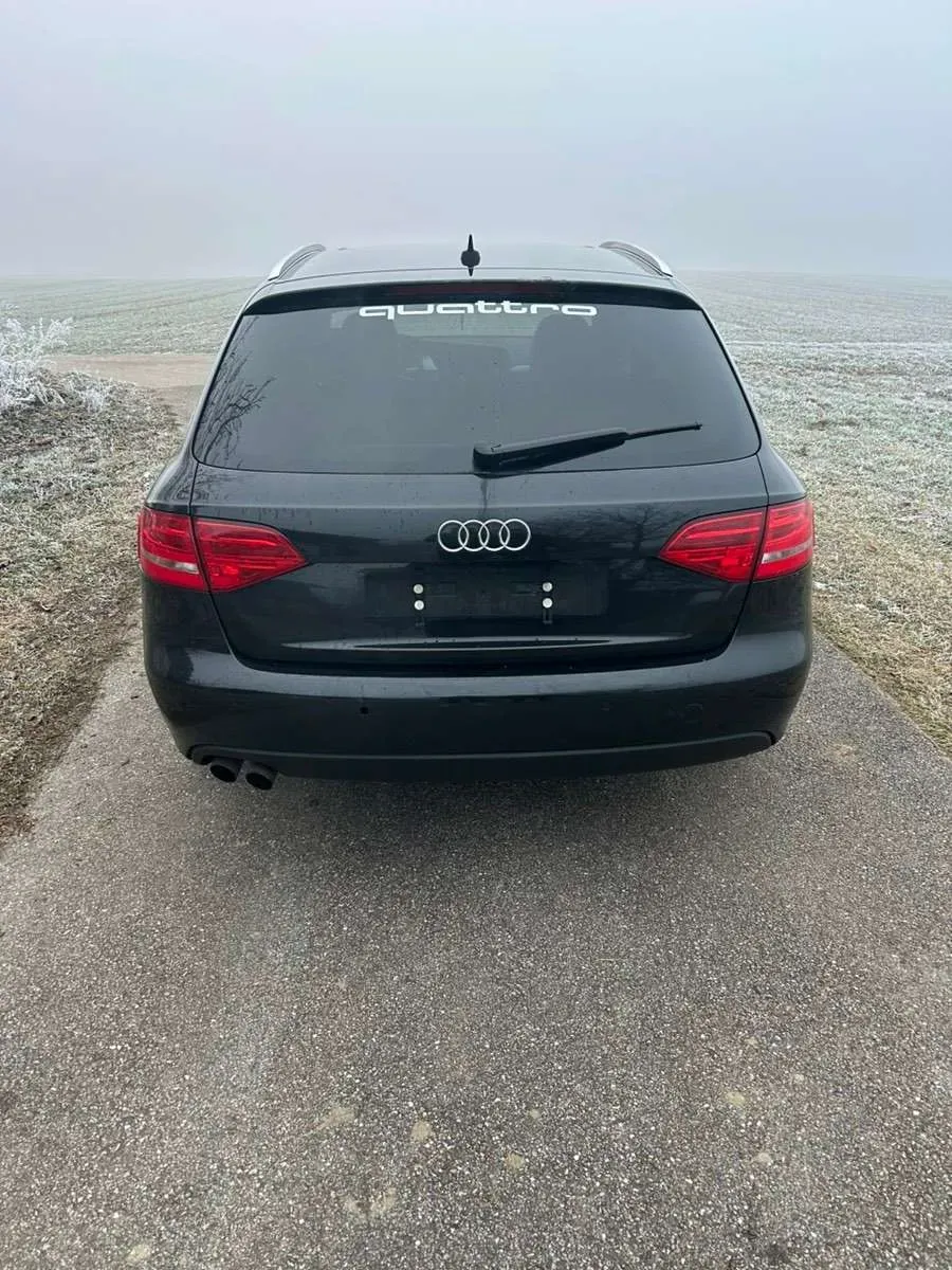 Audi A4 2009 photo 2