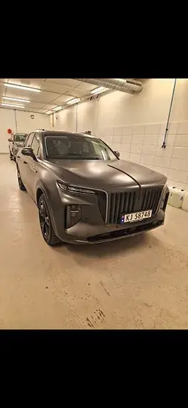 Hongqi E-Hs9