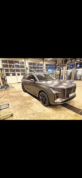 Hongqi E-Hs9 2022 photo 4