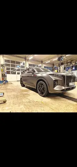 Hongqi E-Hs9 2022 photo 3