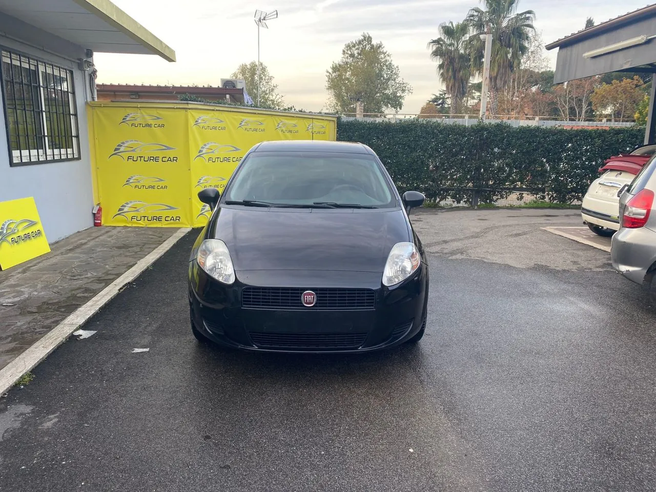 Fiat Punto