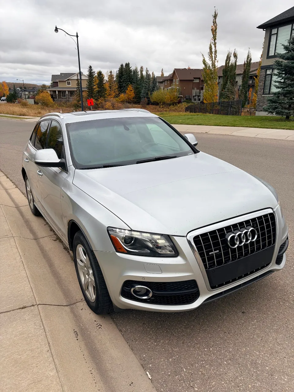 Audi Q5 2009 photo 2