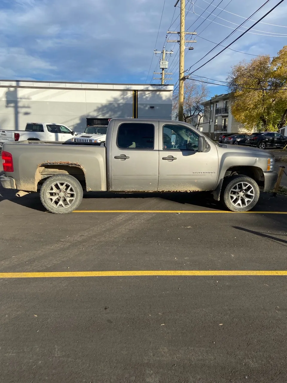Chevrolet Silverado 1500 2009 photo 2