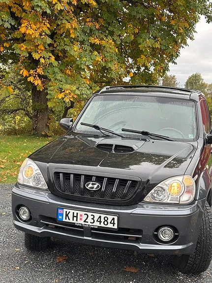 Hyundai Terracan 2004 photo 3