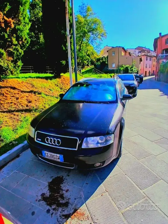 Audi A4 2005 photo 2