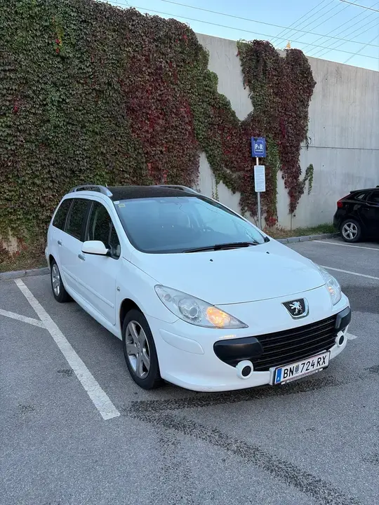 Peugeot 307 2007 photo 2