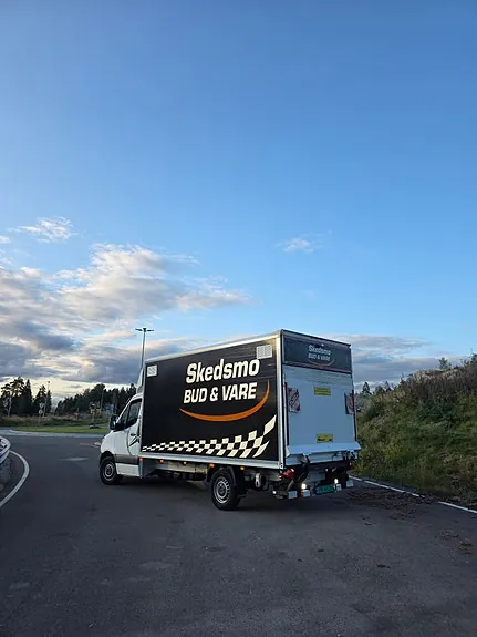 Mercedes-Benz Sprinter 315 2020 photo 4