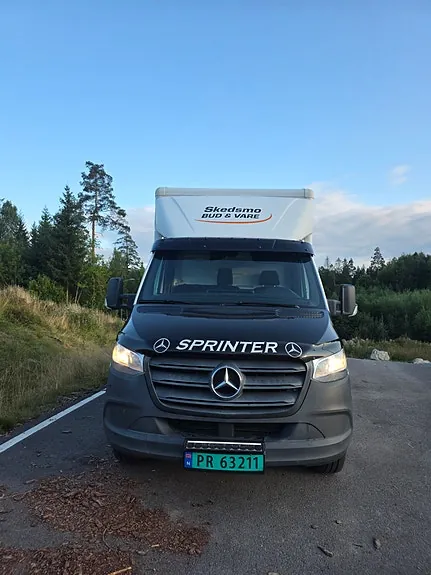 Mercedes-Benz Sprinter 315 2020 photo 5