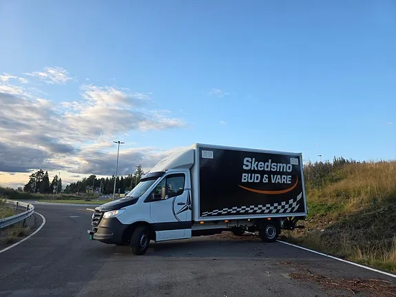 Mercedes-Benz Sprinter 315 2020 photo 3