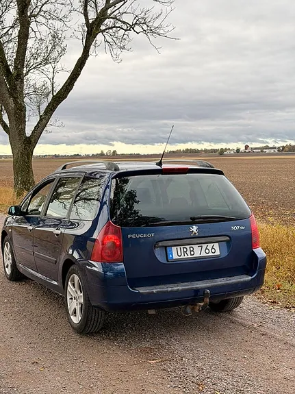Peugeot 307 Sw 2004 photo 3