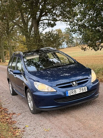 Peugeot 307 Sw 2004 photo 2