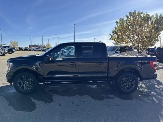 Ford F-150 2023 photo 3