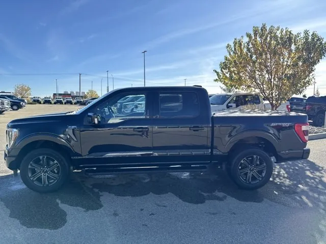 Ford F-150 2023 photo 4