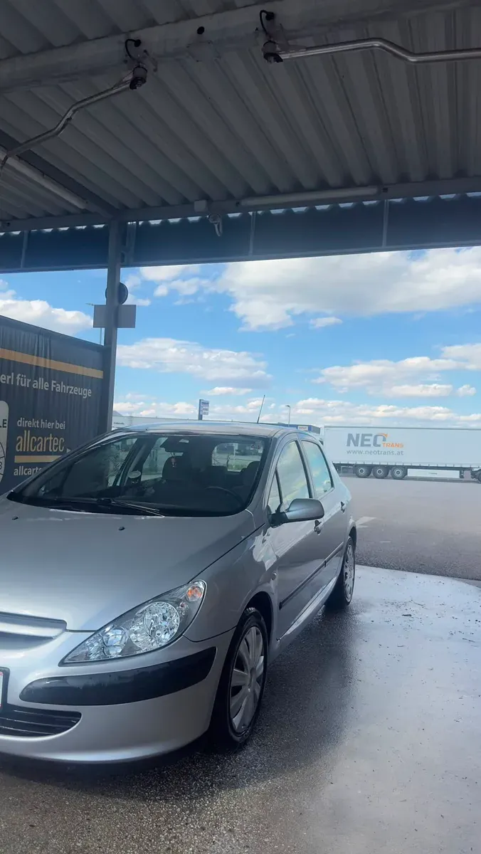 Peugeot 307 2001 photo 2
