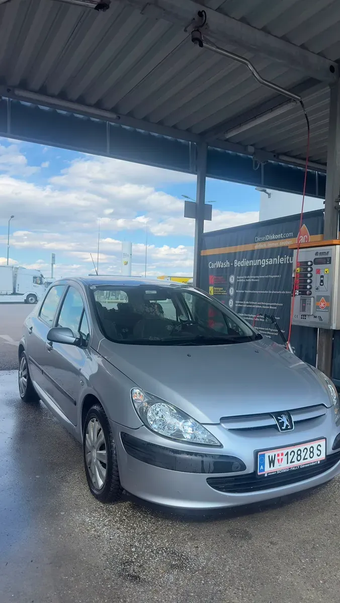 Peugeot 307 2001 photo 3