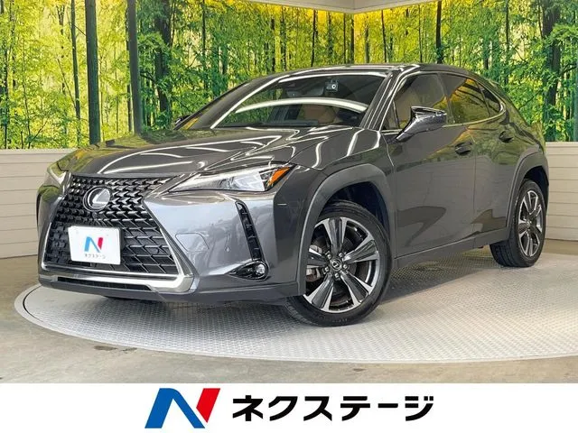 Lexus Ux 250H