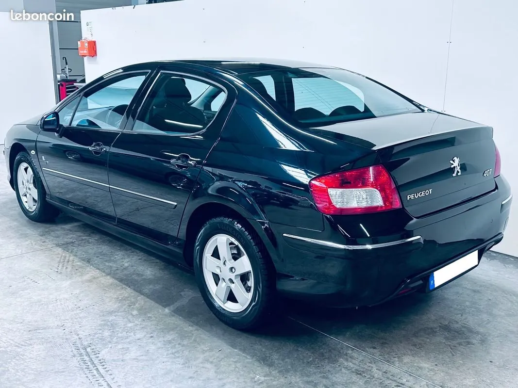 Peugeot 407 2010 photo 5