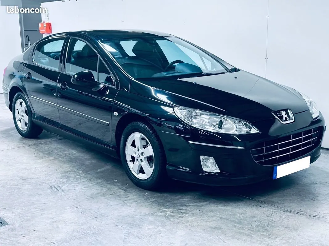 Peugeot 407 2010 photo 2