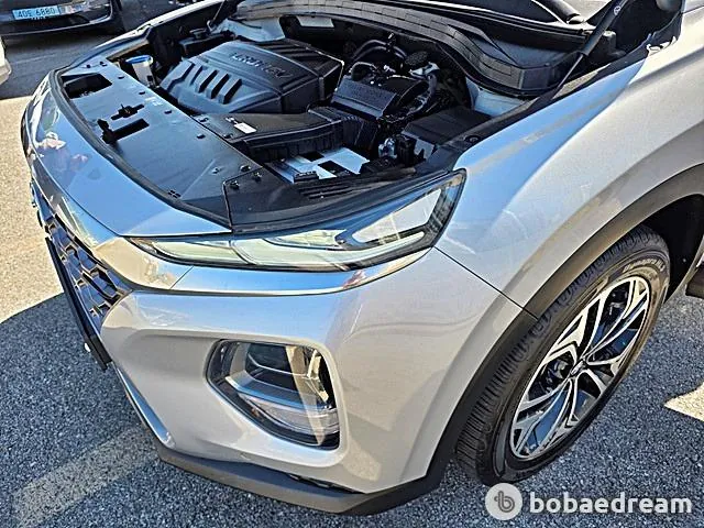 Hyundai Santa Fe 2019 photo 5
