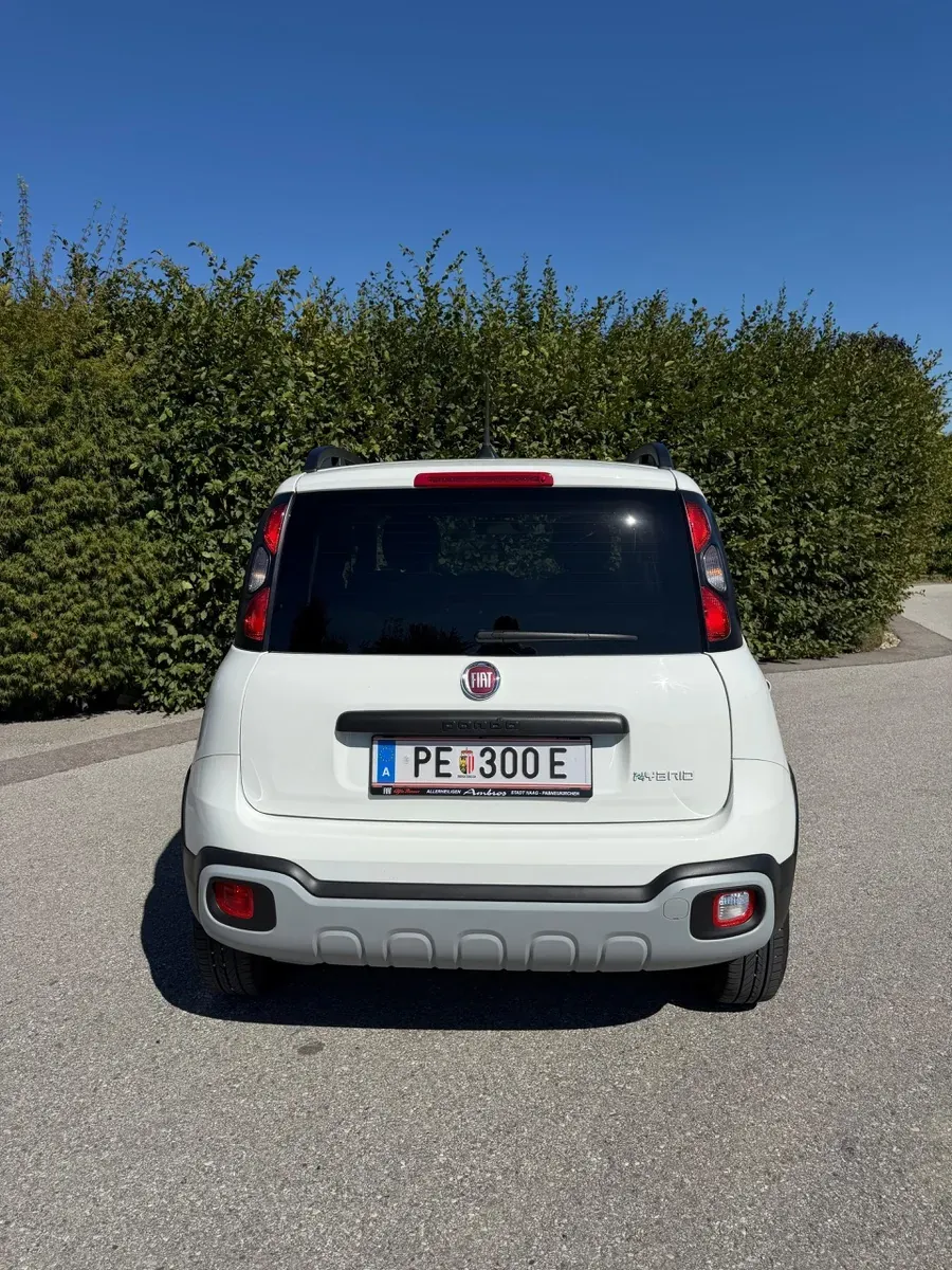 Fiat Panda 2022 photo 2