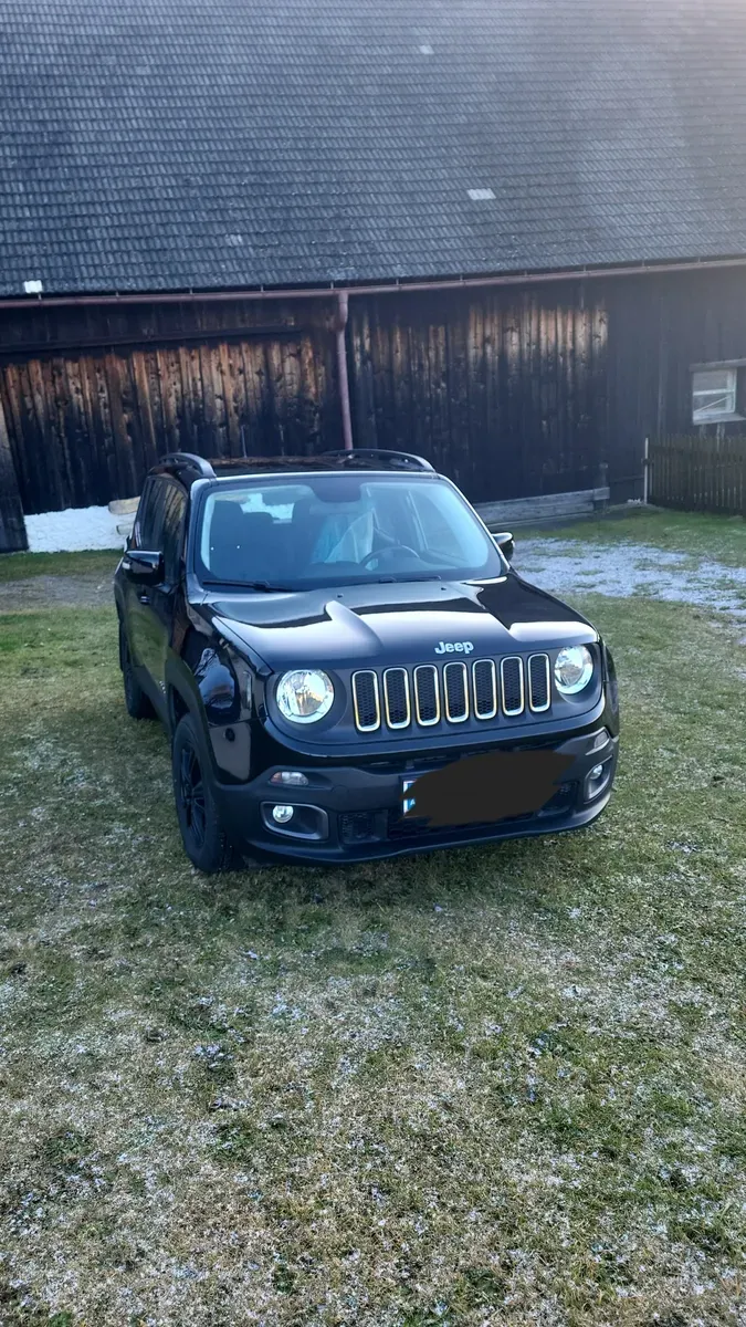 Jeep Renegade 2016 photo 2