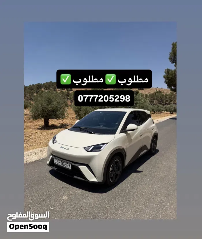 BYD Seagull