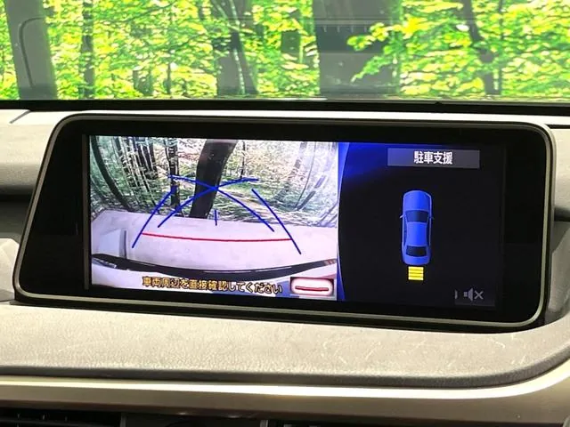 Lexus Rx450H 2018 photo 4