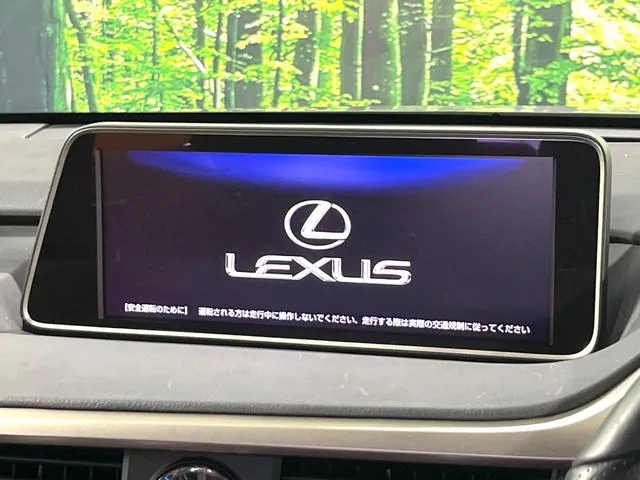Lexus Rx450H 2018 photo 3