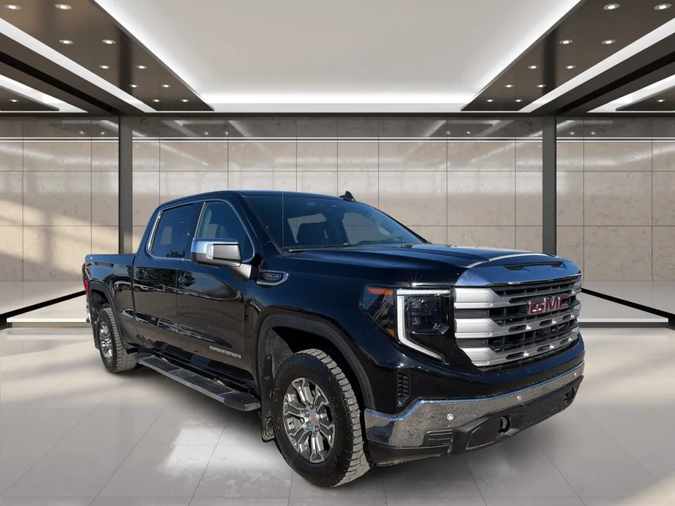 GMC Sierra 1500 2024 photo 2