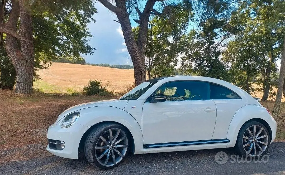 Volkswagen Maggiolino