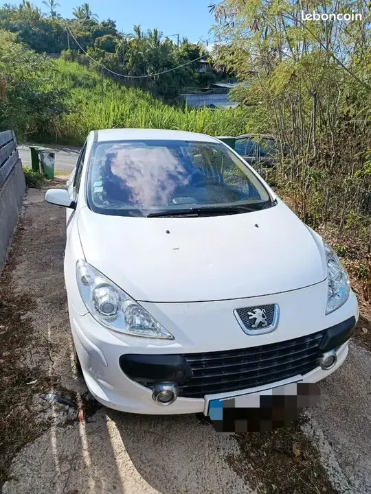 Peugeot 307 2007 photo 2