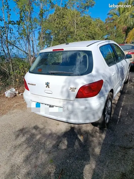 Peugeot 307 2007 photo 3
