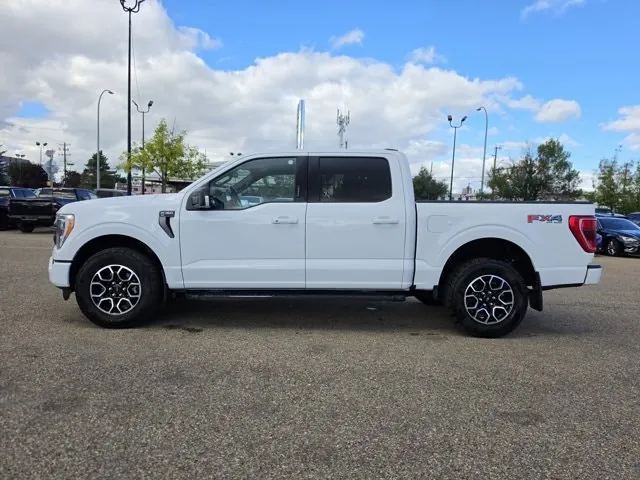 Ford F-150 2023 photo 3