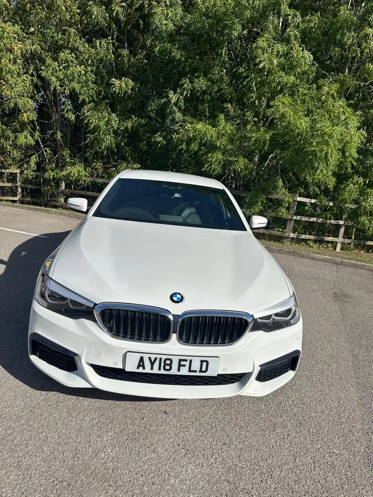 BMW 5 Series 2018 photo 4