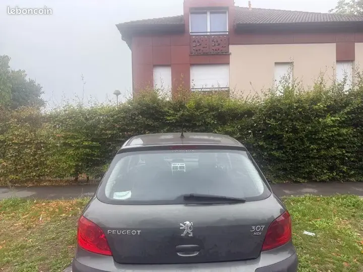 Peugeot 307 2006 photo 2