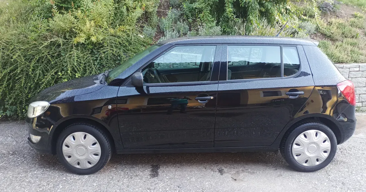 Skoda Fabia 2014 photo 2