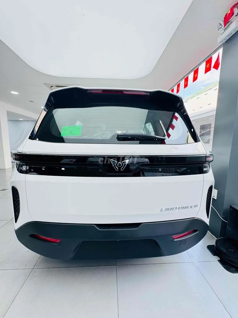Vinfast Limo Green 2026 photo 3