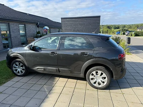 Citroen C4 Cactus 2019 photo 4