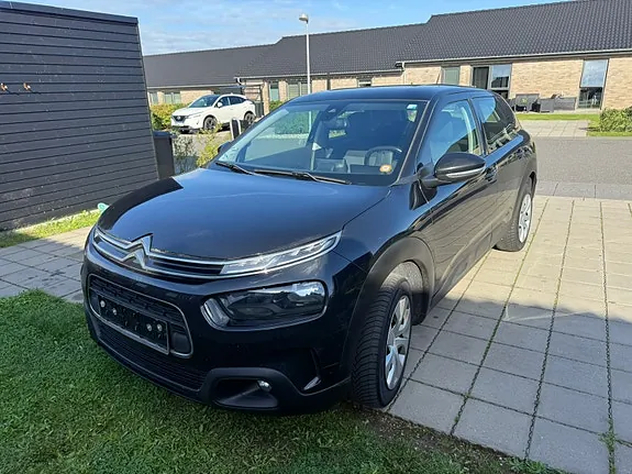 Citroen C4 Cactus 2019 photo 2