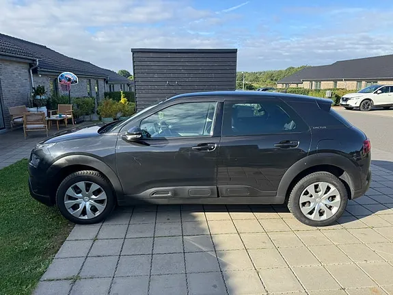 Citroen C4 Cactus 2019 photo 3