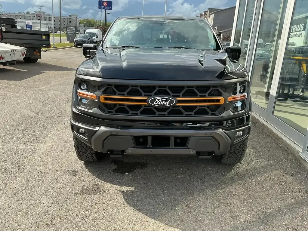Ford F-150 2025 photo 2