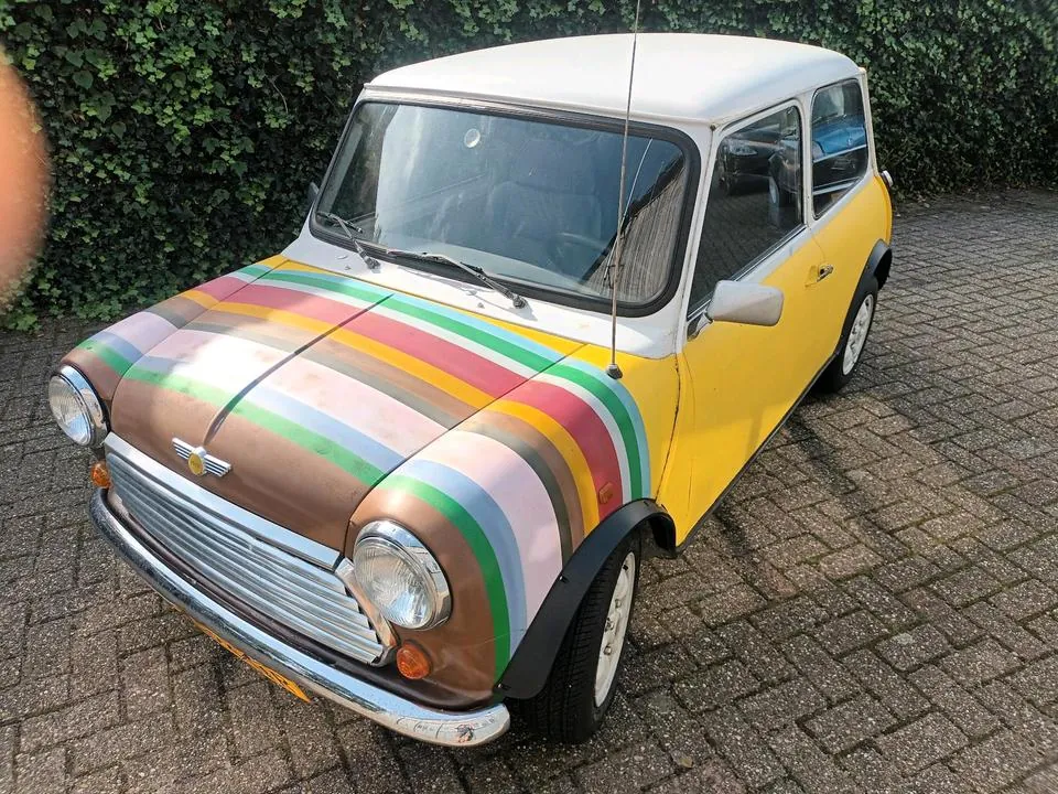 Mini 1000