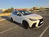 Lexus Nx 2024 photo 4