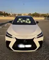 Lexus Nx 2024 photo 2